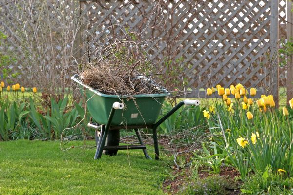 Flower Bed Cleanup Service in Woodland Hills