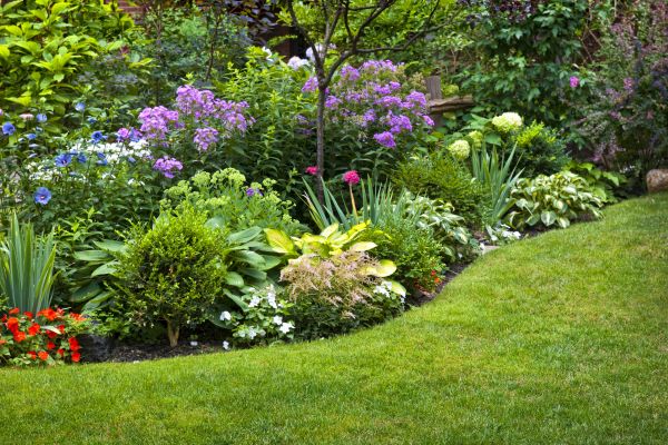 Flower Bed Service in Woodland Hills