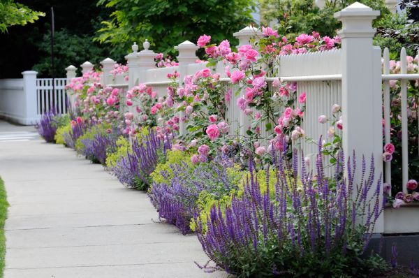 Garden Handyman Service in Woodland Hills