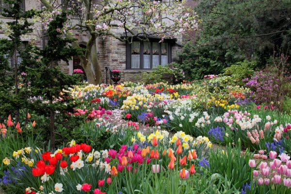 Garden Maintenance Service in Woodland Hills