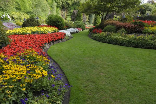 Landscaping Maintenance in Woodland Hills