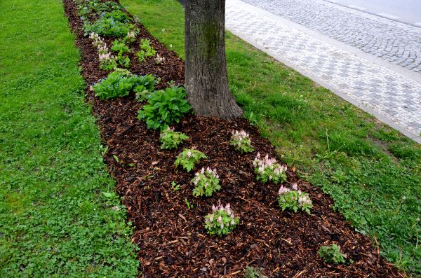 Mulch Replacement Service in Woodland Hills