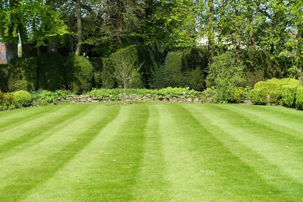 Lawn Renovation in Woodland Hills