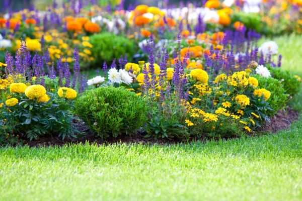 Garden Installation in Woodland Hills