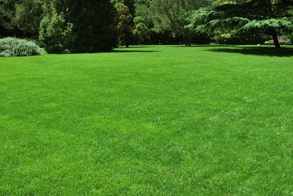 Lawn Landscaping in Woodland Hills