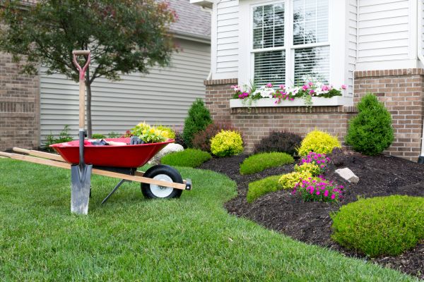 Landscape Maintenance Service in Woodland Hills