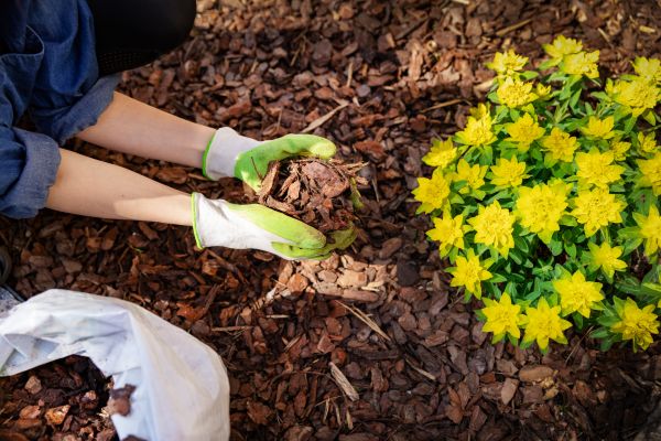Garden Mulching in Woodland Hills