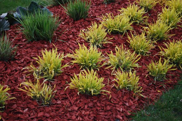 Mulch Landscaping in Woodland Hills