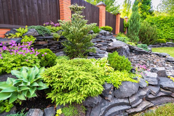 Landscape Remodeling in Woodland Hills