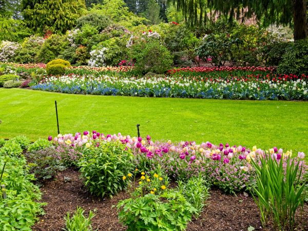 Residential Landscape Design in Woodland Hills