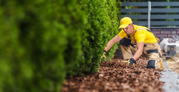 Cypress Mulch Installation in Woodland Hills