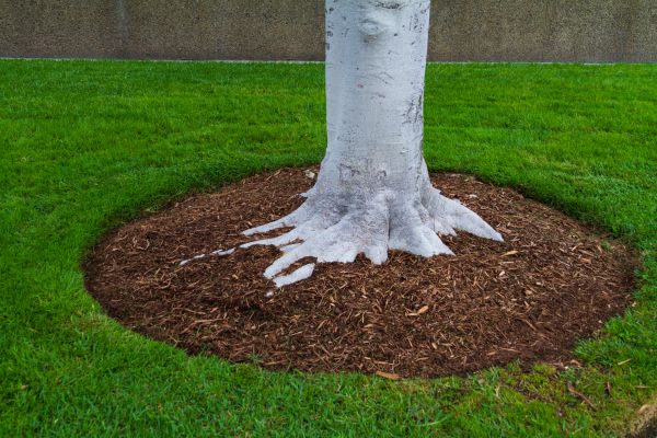 Brown Mulch Installation in Woodland Hills