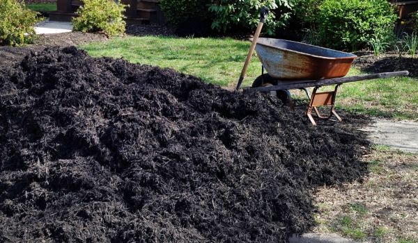Black Mulch Installation in Woodland Hills