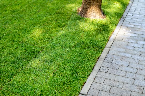 Border Stone Installation in Woodland Hills