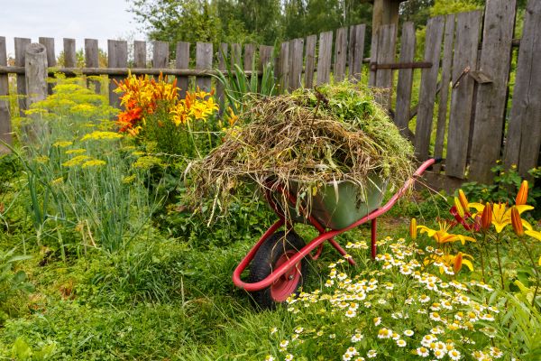 Garden Cleanup Service in Woodland Hills