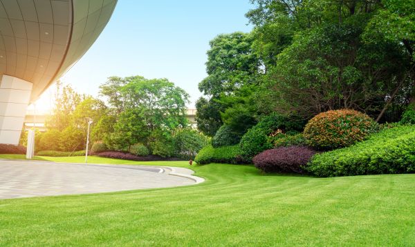 Business Landscape Design in Woodland Hills