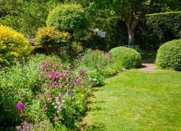 Yard Landscaping Service in Woodland Hills