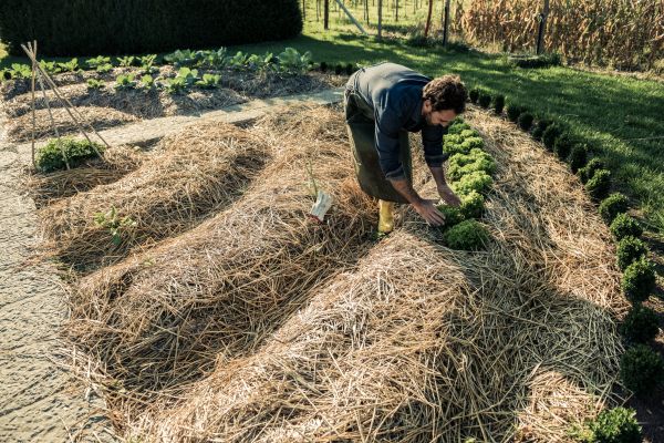 Straw Mulching Service in Woodland Hills