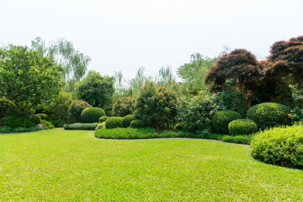 Tree Landscaping in Woodland Hills