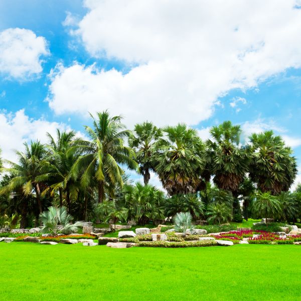 Tropical Landscaping in Woodland Hills