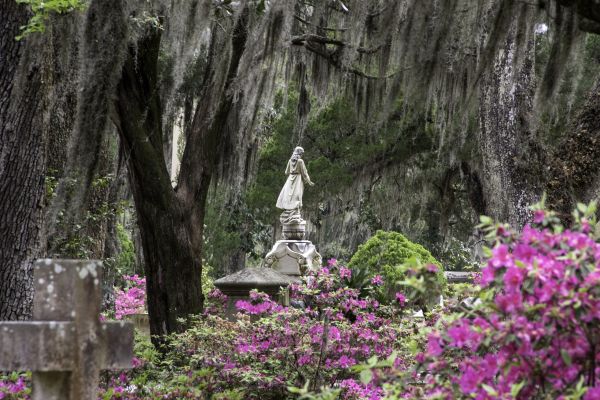Cemetery Landscaping in Woodland Hills