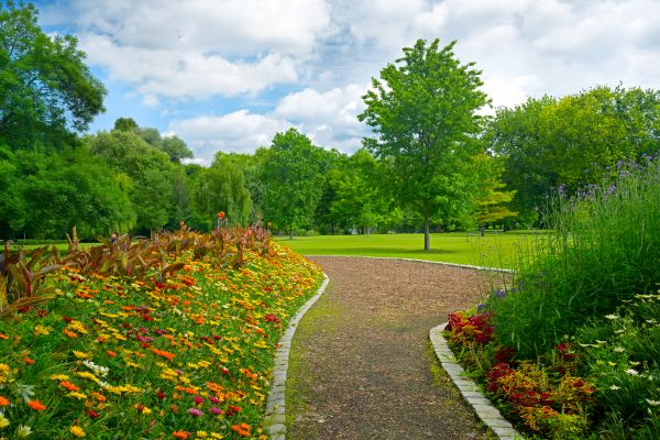 Park Landscaping in Woodland Hills