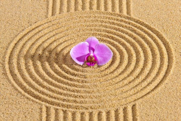 Sand Garden Landscaping in Woodland Hills