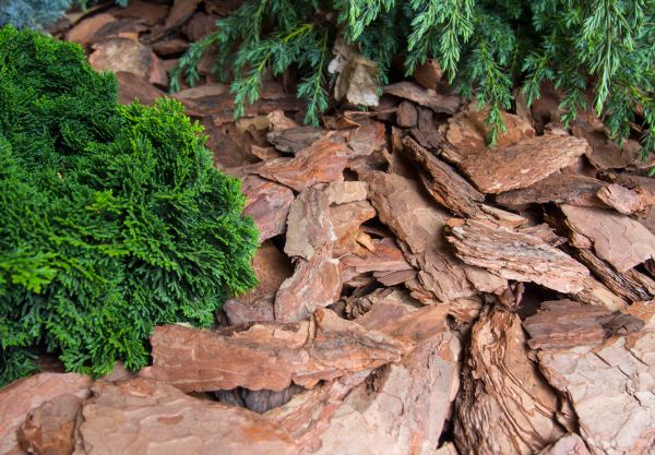 Pine Bark Installation in Woodland Hills