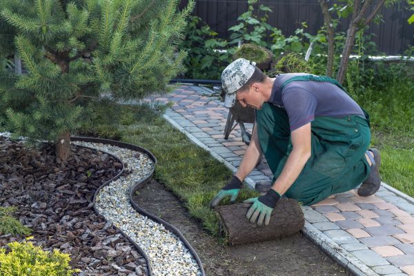 Landscaping Modification in Woodland Hills