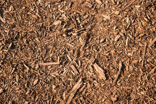 Wood Chips Removal in Woodland Hills