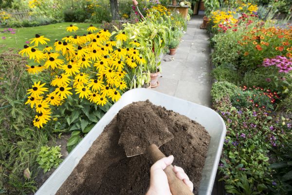 Topsoil Replacement in Woodland Hills