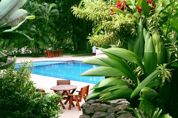 Pool Area Landscaping in Woodland Hills