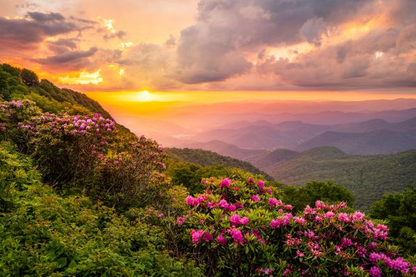 Hill Landscaping in Woodland Hills