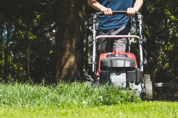 Garden Trimming Service in Woodland Hills
