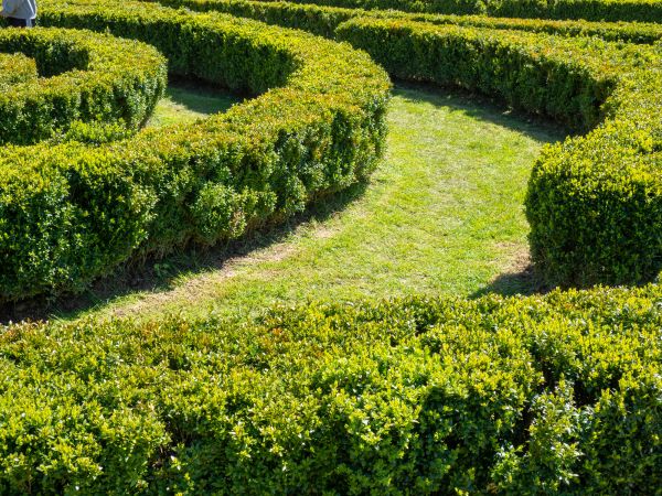 Bush Landscaping in Woodland Hills