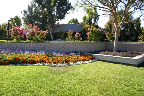 Commercial Landscape Service in Woodland Hills