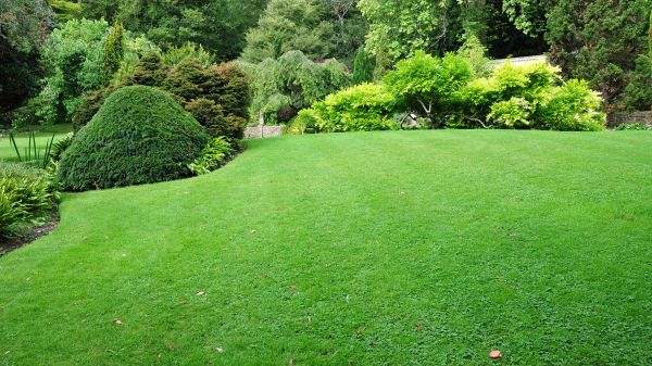 Commercial Landscape Design in Woodland Hills