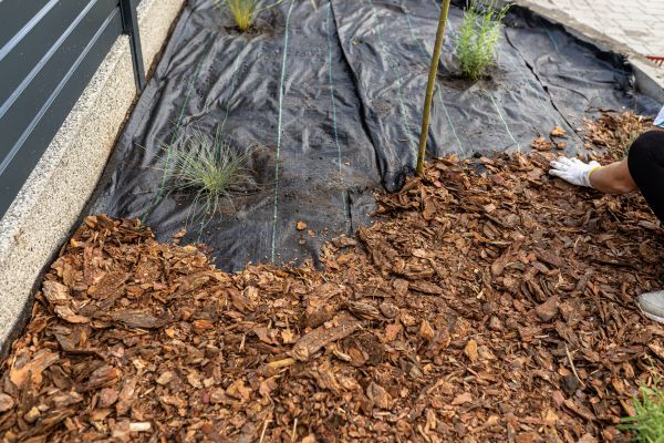 Pine Bark Spreading in Woodland Hills
