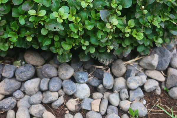 River Stone Installation in Woodland Hills