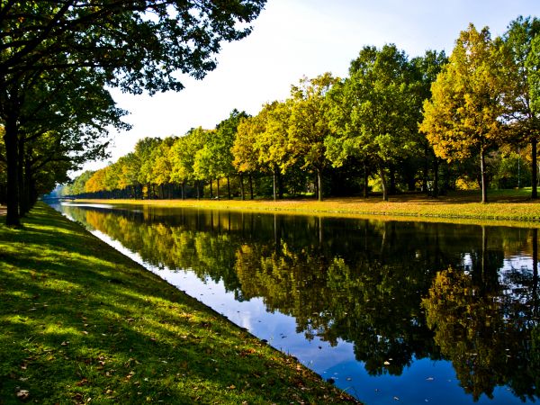 Bank Landscaping in Woodland Hills