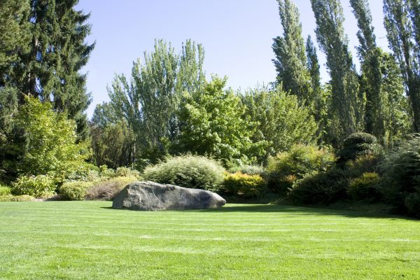Yard Enlargement in Woodland Hills