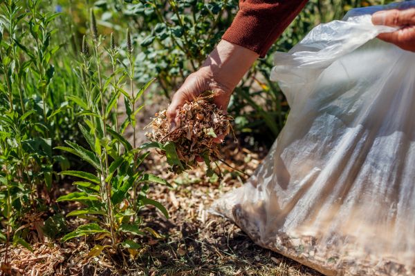 Wood Mulch Installation in Woodland Hills
