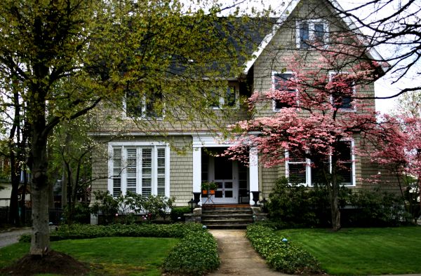 Ornamental Tree Planting in Woodland Hills