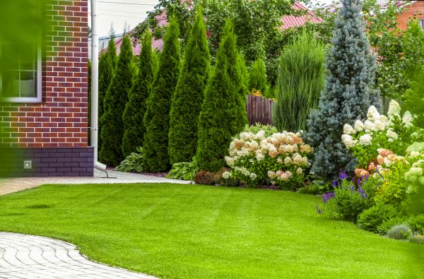 Spring Landscaping in Woodland Hills