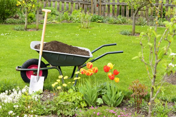 Spring Yard Renovation in Woodland Hills