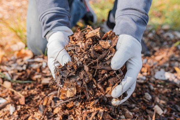 Shredded Mulch Installation in Woodland Hills