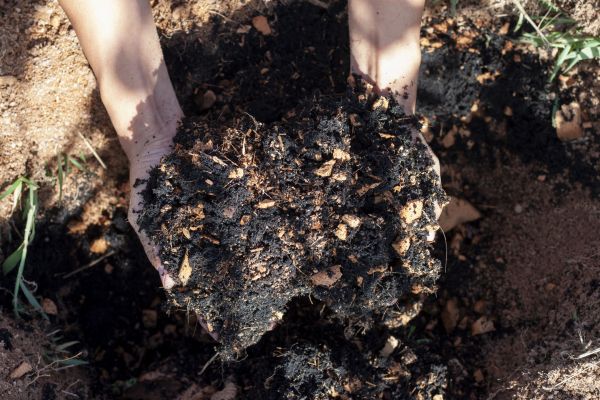 Organic Mulch Installation in Woodland Hills