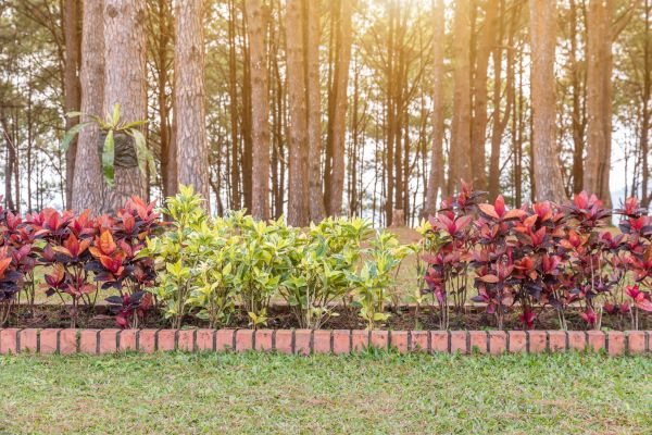 Small Garden Landscaping in Woodland Hills