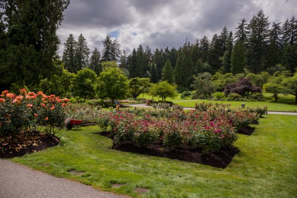 Flower Garden Landscaping in Woodland Hills