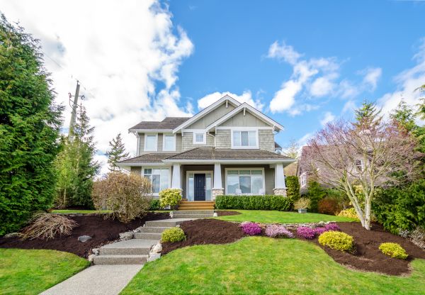 Landscaping Replacement in Woodland Hills